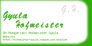 gyula hofmeister business card